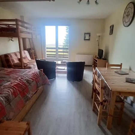 Calme Avec Parking Et Vue Sur Monts Du Cantal - Fr-1-814-125 Apartment *